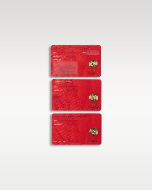 Omega Speedmaster Moonwatch Professional 310.30.42.50.04.001 Image 4